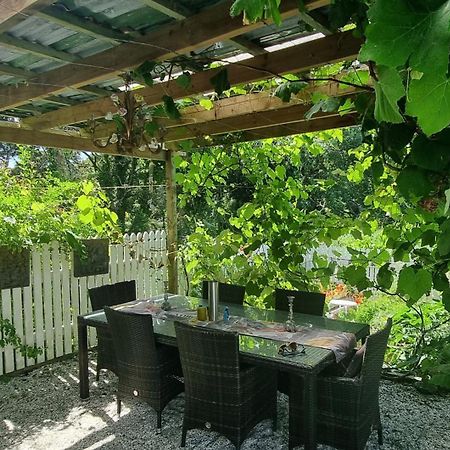 Pheasant Lodge Paparoa Εξωτερικό φωτογραφία